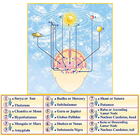 Maharishi Jyotish Cosmic Counterparts